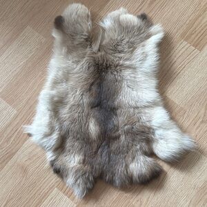Rabbit pelt